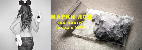 ПСИЛОЦИБИНОВЫЕ ГРИБЫ Верея