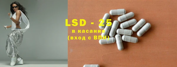 ПСИЛОЦИБИНОВЫЕ ГРИБЫ Верея