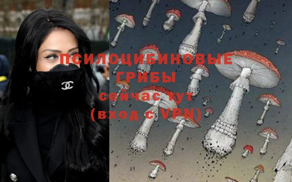 прущая мука Бородино