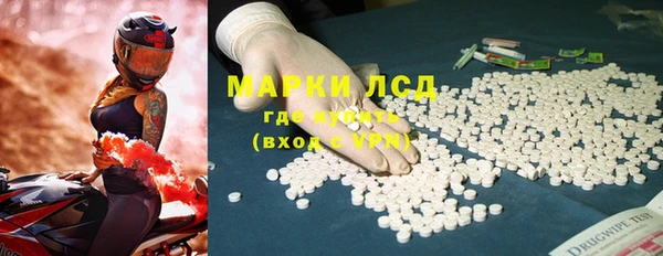 ПСИЛОЦИБИНОВЫЕ ГРИБЫ Верея