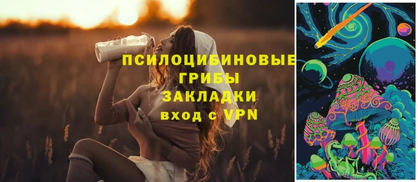 прущая мука Бородино